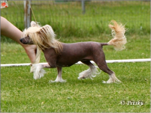 Tapi-Tapi My_Little_Pony_4